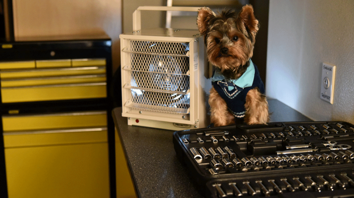 Is Your Heater Making Your Dog Too Hot?