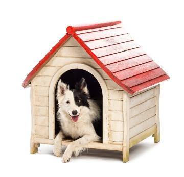 Air Conditioning the Dog House: Climate Control for Pets