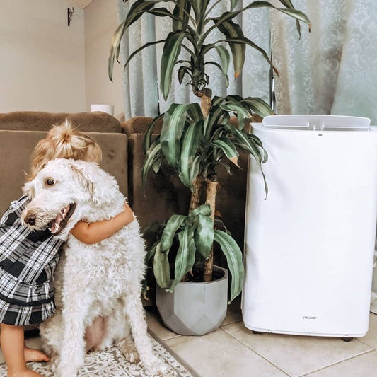 14 Ways to Cool a Room Fast with a Portable Air Conditioner