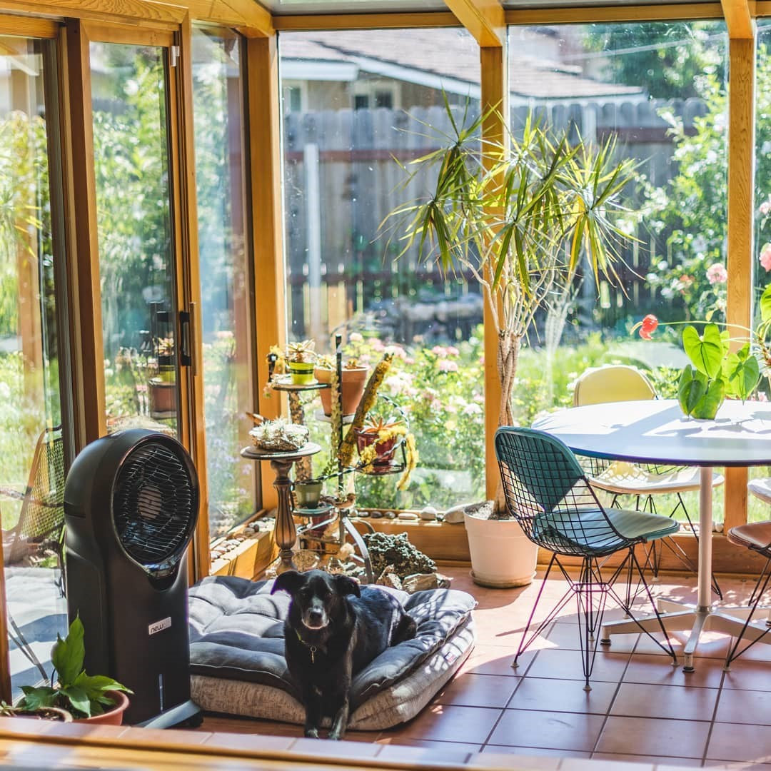What Are Evaporative Coolers? Here’s Everything You Need to Know