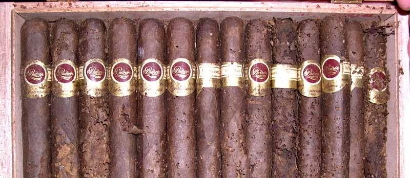 An In Depth Guide on How to Handle Tobacco Beetles in Your Cigar Humidor