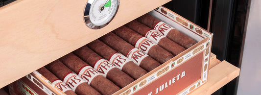 Cigar Storage 101: How Long Can I Store Cigars in A Cigar Humidor?